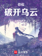 你似破開烏云