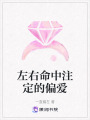 左右命中注定的偏愛