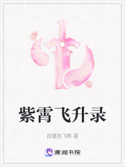 紫霄飛升錄