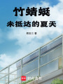 竹蜻蜓未抵達的夏天