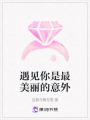 遇見你是最美麗的意外