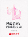 風起長安：西域秘寶錄
