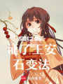 穿越之我見證了王安石變法