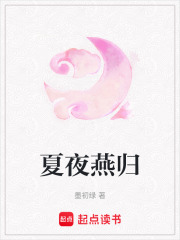 夏夜燕歸