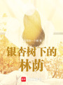 銀杏樹下的林蔭