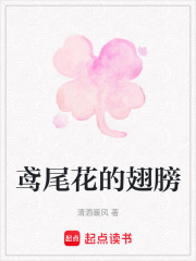 鳶尾花的翅膀