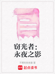竊光者：永夜之影