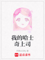 我的哈士奇上司