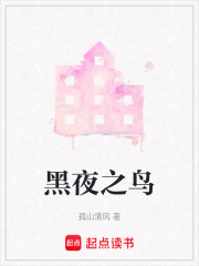 黑夜之鳥