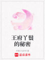 王府丫鬟的秘密
