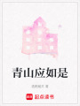 青山應如是