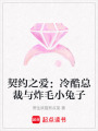 契約之愛：冷酷總裁與炸毛小兔子