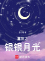 喜灰之銀銀月光