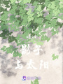 影子與太陽