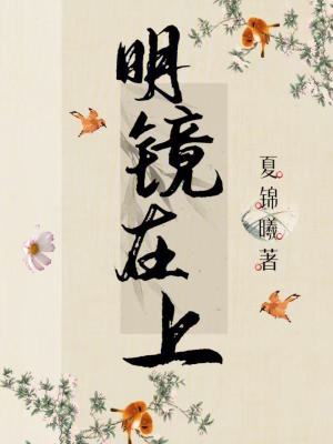 明鏡在上