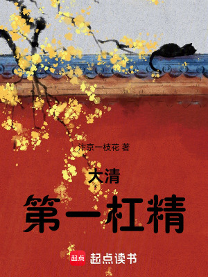 大清第一杠精
