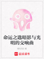 命運之匙暗影與光明的交響曲