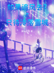 如果追風去2之只待泠落雪城