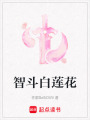 智斗白蓮花