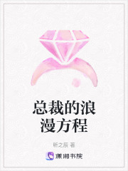 總裁的浪漫方程