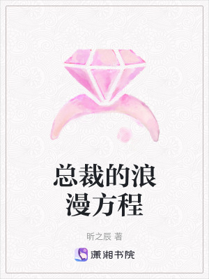 總裁的浪漫方程