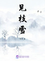 見枝雪