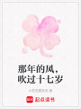 那年的風，吹過十七歲