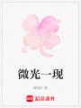 微光一現(xiàn)