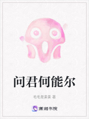 問君何能爾