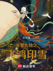斗羅：神圣之翼——葉骨衣小傳