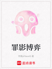 罪影博弈