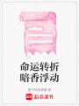 命運轉折暗香浮動