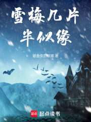 雪梅幾片半似緣