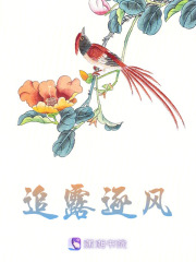 追露逐風