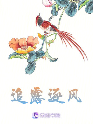 追露逐風