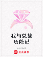 我與總裁歷險記