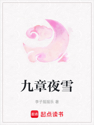 九章夜雪