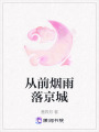 從前煙雨落京城