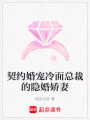 契約婚寵冷面總裁的隱婚嬌妻