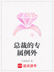 總裁的專屬例外