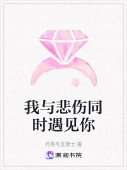 我與悲傷同時遇見你