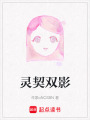 靈契雙影