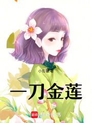 一刀金蓮