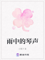 雨中的琴聲