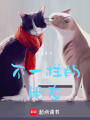 不一樣的朋友