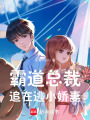 霸道總裁追在逃小嬌妻