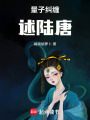 梅烙星穹