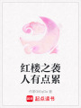 紅樓之襲人有點累
