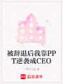 被辭退后我靠PPT逆襲成CEO
