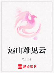 遠山難見云